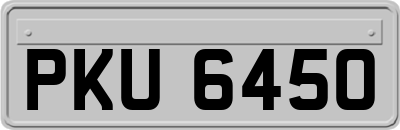 PKU6450