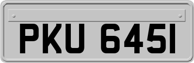 PKU6451