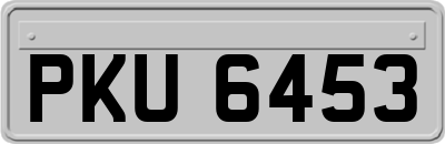 PKU6453