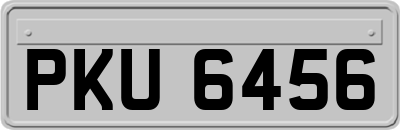 PKU6456