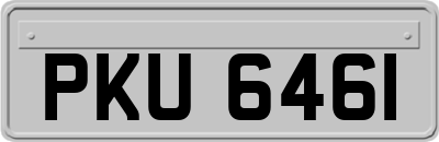 PKU6461