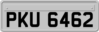 PKU6462