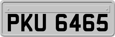 PKU6465