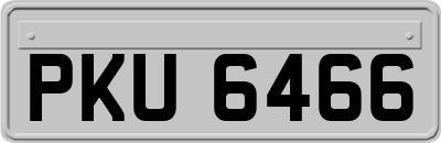 PKU6466