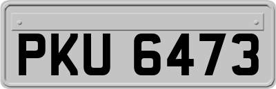 PKU6473
