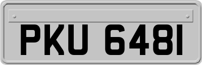 PKU6481