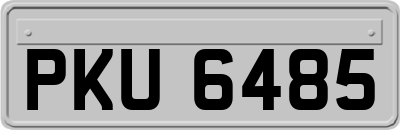 PKU6485