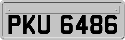 PKU6486