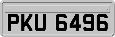 PKU6496