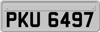 PKU6497