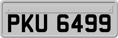 PKU6499