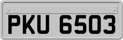 PKU6503