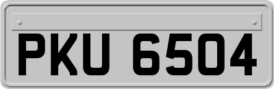 PKU6504