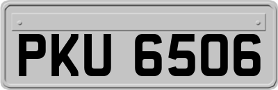 PKU6506