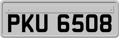 PKU6508
