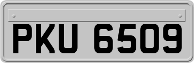PKU6509