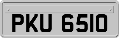 PKU6510