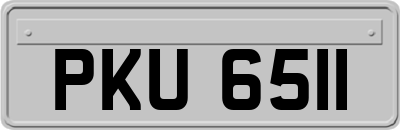 PKU6511