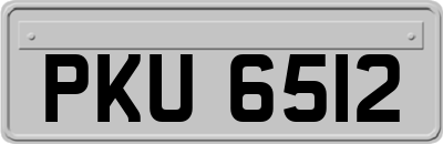 PKU6512