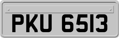 PKU6513