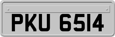 PKU6514