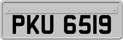 PKU6519
