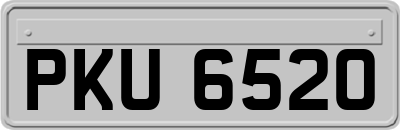 PKU6520