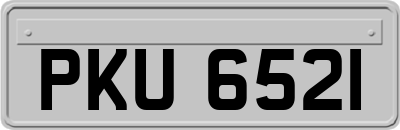 PKU6521
