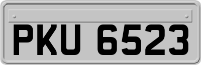 PKU6523