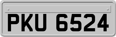 PKU6524