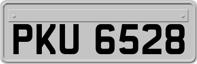 PKU6528