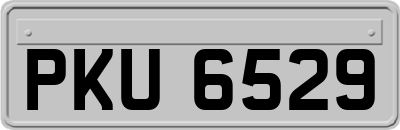 PKU6529