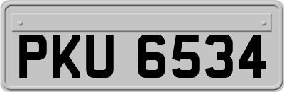 PKU6534