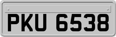 PKU6538