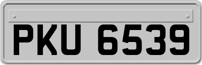 PKU6539