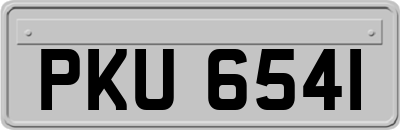 PKU6541