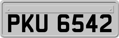 PKU6542