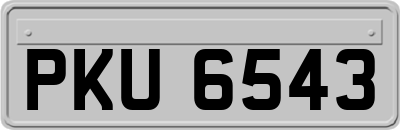 PKU6543