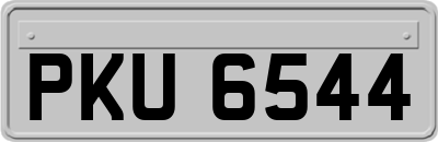 PKU6544