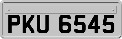 PKU6545