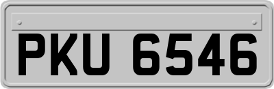 PKU6546