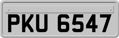 PKU6547