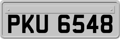 PKU6548