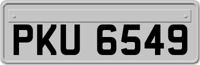 PKU6549