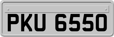 PKU6550