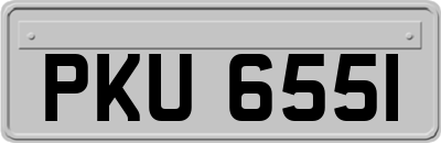 PKU6551