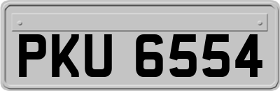 PKU6554