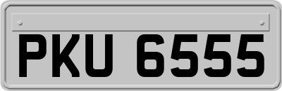 PKU6555
