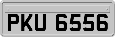 PKU6556