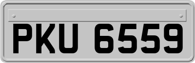 PKU6559